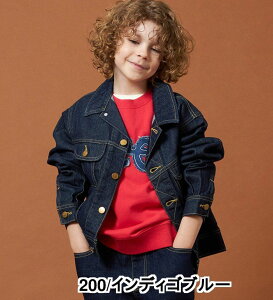 yLeezy110-160cmzLbY C_[XWPbg VRfޖ100 [ AE^[