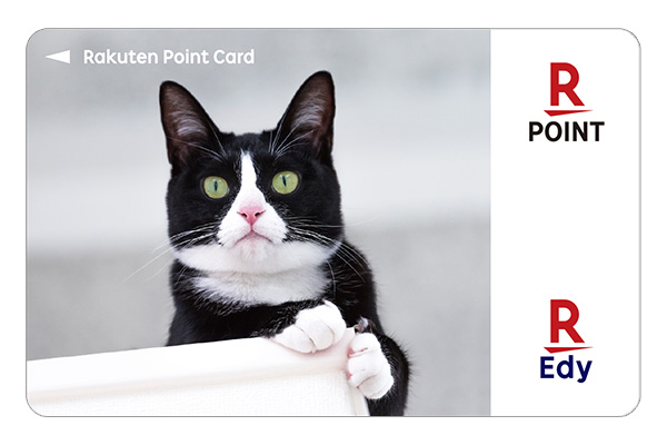 近所のコンビニやスーパーなど 35％OFF 全国86万ヶ所以上のお店で使える Edy-ポイントカードアニマルシリーズ 超目玉 靴下猫