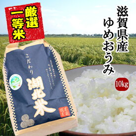 楽天市場 お米 10kg 激安の通販