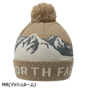 m[XtFCX THE NORTH FACE Xm[or[j[ NN42504 Xm[{[h Xq jbgX r[j[ b`