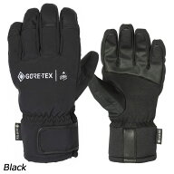 エビス eb's オルガ5 #4500005 スノーボード グローブ GORE-TEX 防水 防風