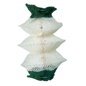 R[} Coleman }g(95^)2 95102J ^ ANZT }g eiX i Օi