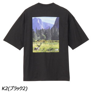 �m�[�X�t�F�C�X THE NORTH FACE �V���[�g�X���[�u���Z�~�e�V�[�i���[�e�B�[ NT32436 T�V���c ���� UV�P�A ���j�Z�b�N�X
