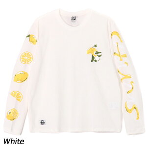 `X CHUMS `XOX[uTVc CH01-2513 TVc  jZbNX