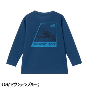 m[XtFCX THE NORTH FACE gh[OX[uTNFoOt[OtBbNeB[ NTT32553 TVc  悯 z  LbY