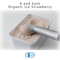 オーガニックアイスクリームお徳用【10個セット】/1,000mL/KandSon's