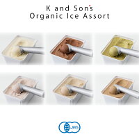 オーガニックアイスクリームお徳用【10個セット】/1,000mL/KandSon's