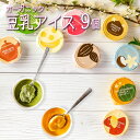 ＼牛乳・卵不使用／ お歳暮 お菓子 アイス 2025 内祝 出産 ギフト プレゼント 豆乳アイス ヴィーガン 無添加 オーガニック お取り寄せスイーツ 食べ物 熨斗対応 誕生日 低カロリー ジェラート 9個 100ml / SOY GeLA! ソイジェラ