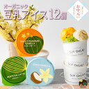 お中元 御中元 2025 ギフト お菓子 アイス 豆乳アイス ヴィーガン 無添加 オーガニック お取り寄せスイーツ 食べ物 のし 対応 お誕生日 内祝 出産祝い お返し 低カロリー ジェラート 12個 100ml / SOY GeLA! ソイジェラ