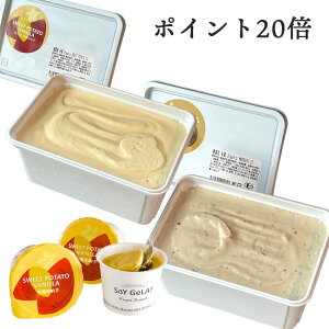 _SALE^ |CgMAX20{I hV̓Mtg 2025 v[g ACX I[KjbN ACX [ 24 100ml Ɩp 1000ml ÌI