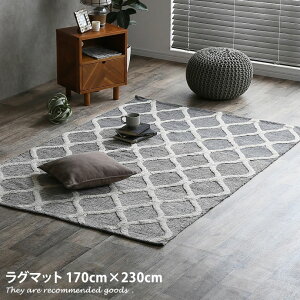 �y�N�[�|����15��OFF! 5/18 0:00~23:59�܂Ł��z���O�}�b�g �y170×230cm�z �}�b�g ���O ���� ���r���O �J�[�y�b�g �O�~ �I�[���V�[�Y�� �k�� �k���e�C�X�g�Ƌ� �J�W���A�� �J�W���A���e�C�X�g ���_�� 