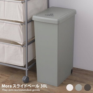 yMAX50OFF! 12/412/5聚zXChy[ S~ 30L S~ _Xg{bNX XChS~ G CeA ݓ t^t LX^[t 24cm ݔ W t^t LX^