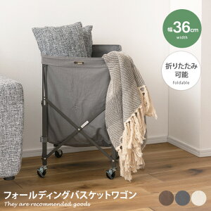 bN [ oXPbg S ߗގ[ [ ܂肽 LX^[t AEghA Lv o[xL[ W[ y RpNg ^ X 36 rO Q 