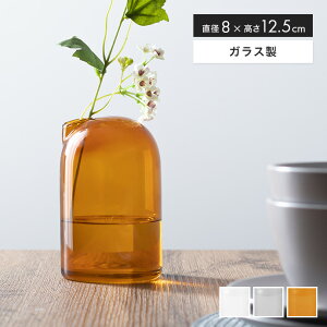 yMAX50OFF! 9/15 0:00 ~ 23:59܂ŁzKXx[X t[x[X ֑} ԕr ~j RpNg 킢   Ԋ rO _CjO   蕨 a v[g Mt