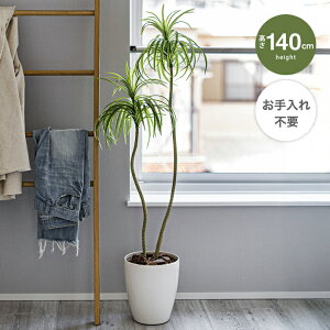 yMAX50OFF! 12/412/5聚zϗtA tFCNO[ hZi lHϗtA t 140cm C[ CeA tFCN lH ^ sv ȒP  ItBX r