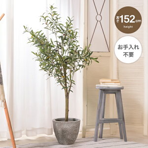 ϗtA tFCNO[ I[u lHϗtA t 152cm C[ CeA tFCN lH ^ sv ȒP  ItBX rO  A  l