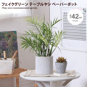 yMAX50OFF! 11/20 20:00 ~ 23:59܂ŁzG ϗtA tFCNO[ CeA V e[uV CeAO[ O[ lC V |bg y[p[|bg  Aؔ O[|b