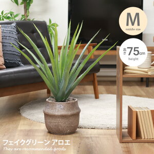 【クーポンで15%OFF! 10/26 0:00~10/27 9:59まで★】雑貨 観葉植物 フェイクグリーン インテリア インテリアグリーン アロエ グリーン 人気 新生活 Mサイズ ポット セメントポット 鉢 植木鉢 グリー