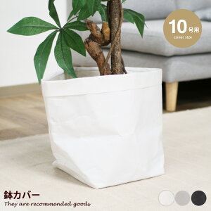 yMAX50OFF! 11/30 0:00 ~ 23:59܂ŁzLb` G v^[Jo[ Jo[ |bgJo[   10 10p y y mg[J[  Ntgy[p[ ϗtA 25 