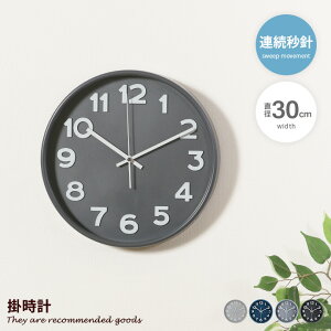 yMAX50OFF! 11/2411/25聚z|v v v Ǌ|v AiOv ǎv É Â XC[v ݃J[ dr y XC[v[ug Abj XC[v 30 a30