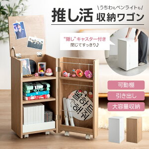  S [ B Piilo ObY[ s[ TChe[u bN hbT[ fXNS RpNg ȃXy[X BLX^[  yCg ObY fBXvC DVD C