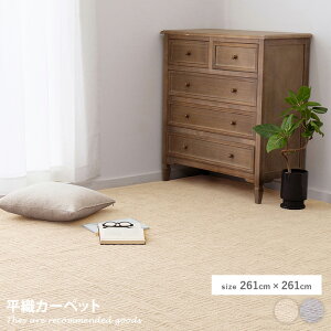 yN[|15OFF! 11/1 0:00~23:59܂ŁzO}bg O J[ybg }bg y O~ RpNg ]ˊ4.5 4.5 261×261 { zbgJ[ybgΉ g[Ή ` v