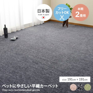 yMAX50OFF! 12/412/5聚zO J[ybg tA O~ JbgpC }bg D E t[Jbg { {2 ؂ g[ zbgJ[ybgΉ rO _CjO q