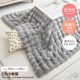 【MAX50％OFF! 2/15 0:00 ~ 23:59まで★】こたつ布団 こたつ 炬燵布団 コタツ布団 毛布 こたつ掛け布団 正方形 薄掛け 洗える 丸洗い 洗濯機 低ホルムアルデヒド ラビットファー調 ぽこぽこ もこもこ ふわふわ フランネル 一人暮らし コンパクト 静電気防止