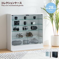 楽天市場】コレクション ケース 白の通販