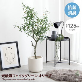 【クーポンで15％OFF！★4/20 0:00~23:59限定★】ナチュレ Nature オリーブ 観葉植物 人工 フェイクグリーン 室内 リビング オフィス 一人暮らし 緑 インテリア 光触媒 空気清浄 消臭 抗菌 防汚 ホルムアルデヒド分解 高さ125cm 人工 造花 観葉 植物 植木 鉢植え 観賞用