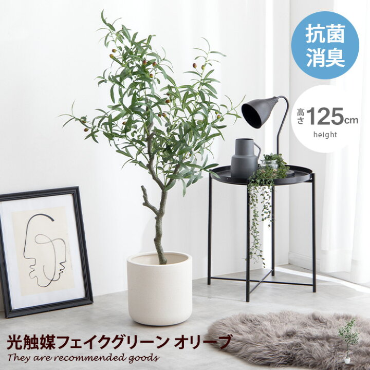 楽天市場】【クーポンで15％OFF！☆4/9 0:00~4/10 1:59まで 
