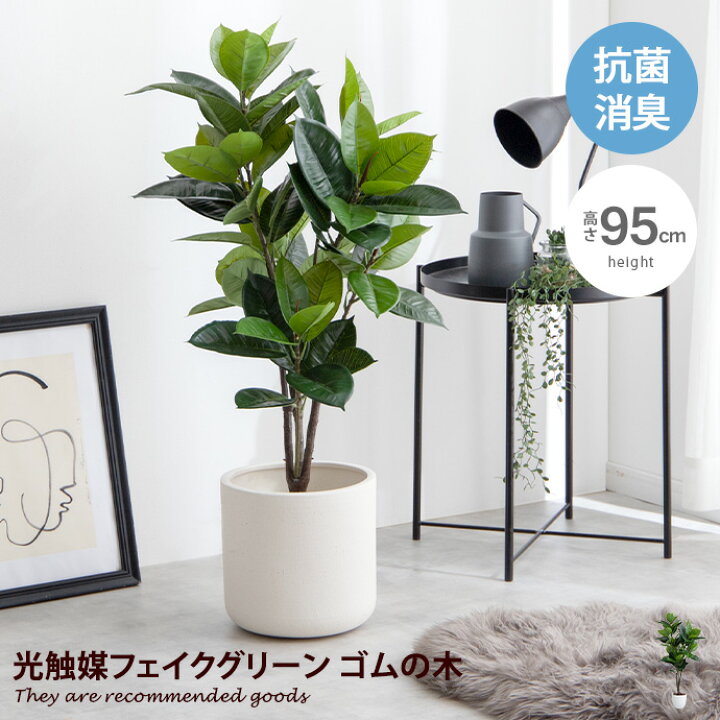 楽天市場】【MAX50％OFF! 3/30 0:00~23:59まで☆】ナチュレ Nature 