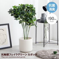 楽天市場】フェイクグリーン ゴムの木の通販