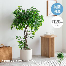 【クーポンで13％OFF！6/8 0：00～23：59まで！】ナチュレ Nature ベンジャミン 観葉植物 人工 フェイクグリーン 室内 リビング オフィス 一人暮らし 緑 インテリア インテリアグリーン 光触媒 空気清浄 消臭 抗菌 防汚 ホルムアルデヒド分解 おしゃれ 高さ120cm 人工