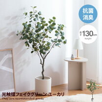 楽天市場】空気清浄 触媒 フェイクグリーン（人工観葉植物｜造花・人工 
