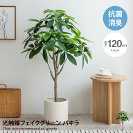 ナチュレ Nature パキラ 観葉植物 人工 フェイクグリーン 室内 リビング オフィス 一人暮らし 緑 インテ…