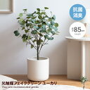 【クーポンで15％OFF! 8/8 0:00~23:59まで★】ナチュレ Nature ユーカリ 観葉植物 人工 フェイクグリーン 室内 リビング オフィス 一人暮らし 緑 インテリア インテリアグリーン 光触媒 空気清浄 消臭 抗菌 防汚 ホルムアルデヒド分解 高さ85cm 人工 造花 観葉 植物