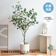 ナチュレ Nature ユーカリ 観葉植物 人工 フェイクグリーン 室内 リビング オフィス 一人暮らし 緑 イン…