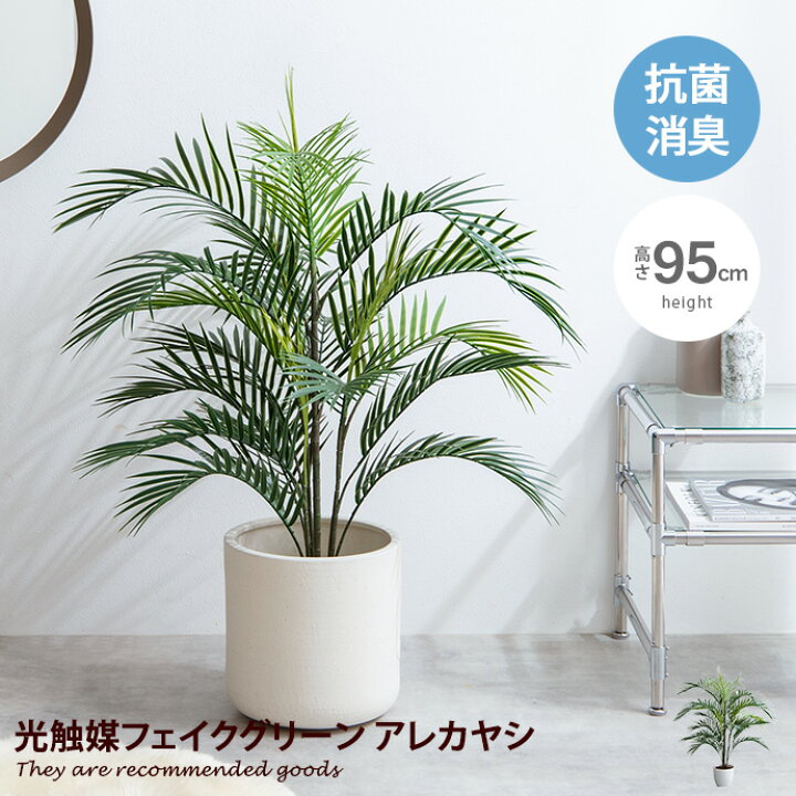 楽天市場】【クーポンで6％OFF! 4/14 20:00~4/17 9:59まで 