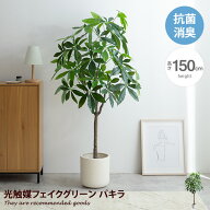 フェイクグリーン 観葉植物 人工 パキラ リビング 室内 オフィス 一人暮らし 緑 Nature ナチュレ インテ…
