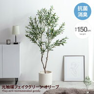 【MAX50％OFF! 6/10 0:00 ~6/11 1:59まで★】ナチュレ Nature オリーブ 観葉植物 人工 フェイクグリーン …