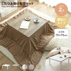 yMAX50OFF! 11/15 0:00 ~ 23:59܂Łze[u Zbg 2_Zbg zc  x ` R[fC o[Vu ѕz |zc | y ې 􂦂 