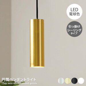 yN[|14OFF! 12/1 0:00~23:59܂ŁzƖ y_gCg | 1 LED V[O y_g p^ ی`t |[[bg X|bgCg CeA ȒPt X^Cb