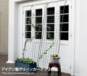 yMAX50OFF! 11/15 0:00 ~ 23:59܂ŁzACAO[J[e ynC^CvztFX2g S[ ACA o KN   x_ K[fjO g  d؂ ډB  AeB