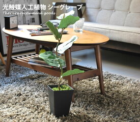 【クーポンで15％OFF！4/24 20:00~4/25 23:59まで】光触媒 観葉植物 グリーン 造花 アートフラワー 人工植物 植物 モダン シーグレープ 人工 人気 消臭 シンプル 抗菌 除菌 ホルムアルデヒド タバコ 防菌 バーゲン 北欧 ペット