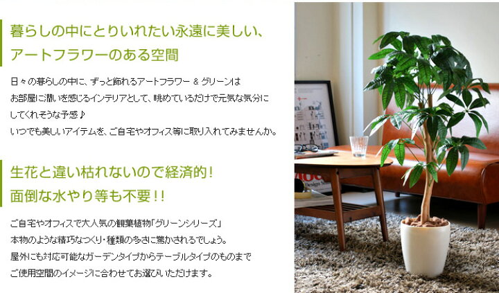 全てのアイテム 観葉植物 光触媒 造花 モンステラポット グリーン 人工植物 消臭 抗菌 防菌 ホルムアルデヒド 植物 人工 タバコ アートフラワー オフィス プレゼント Klvbuilder Com
