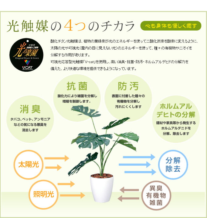 全てのアイテム 観葉植物 光触媒 造花 モンステラポット グリーン 人工植物 消臭 抗菌 防菌 ホルムアルデヒド 植物 人工 タバコ アートフラワー オフィス プレゼント Klvbuilder Com