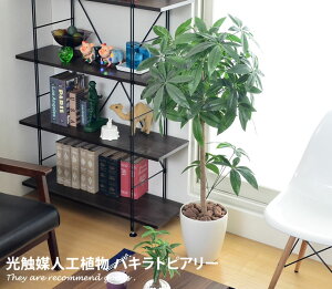 北欧 観葉植物 Diy 工具の人気商品 通販 価格比較 価格 Com