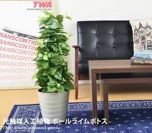 yN[|15OFF! 12/7 0:00~23:59܂ŁzG} ϗtA |[C|gX  _ O[ R ybg lHA k h L zAfqh A Vv A[gt[ 