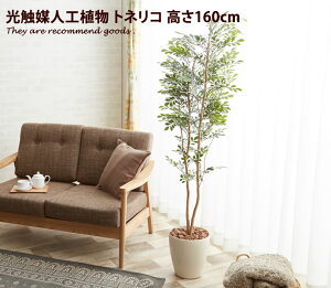 �yMAX50��OFF! 4/5 0:00~23:59�܂Ł��z�g�l���R �ϗt�A�� tonerico toneriko �C�~�e�[�V�����O���[�� ���� ���L �l�H �I�t�B�X �R�� ��^ ���G�} �v���[���g ���� �M�t�g �O���[�� �A�� ���� �h��